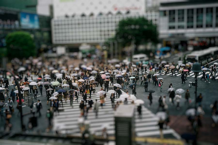 Shibuya crossing starbucks Japan
