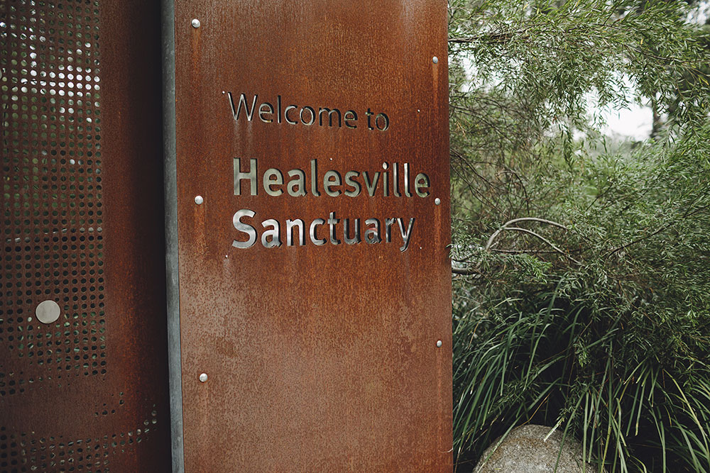 healesville-sanctuary-wedding