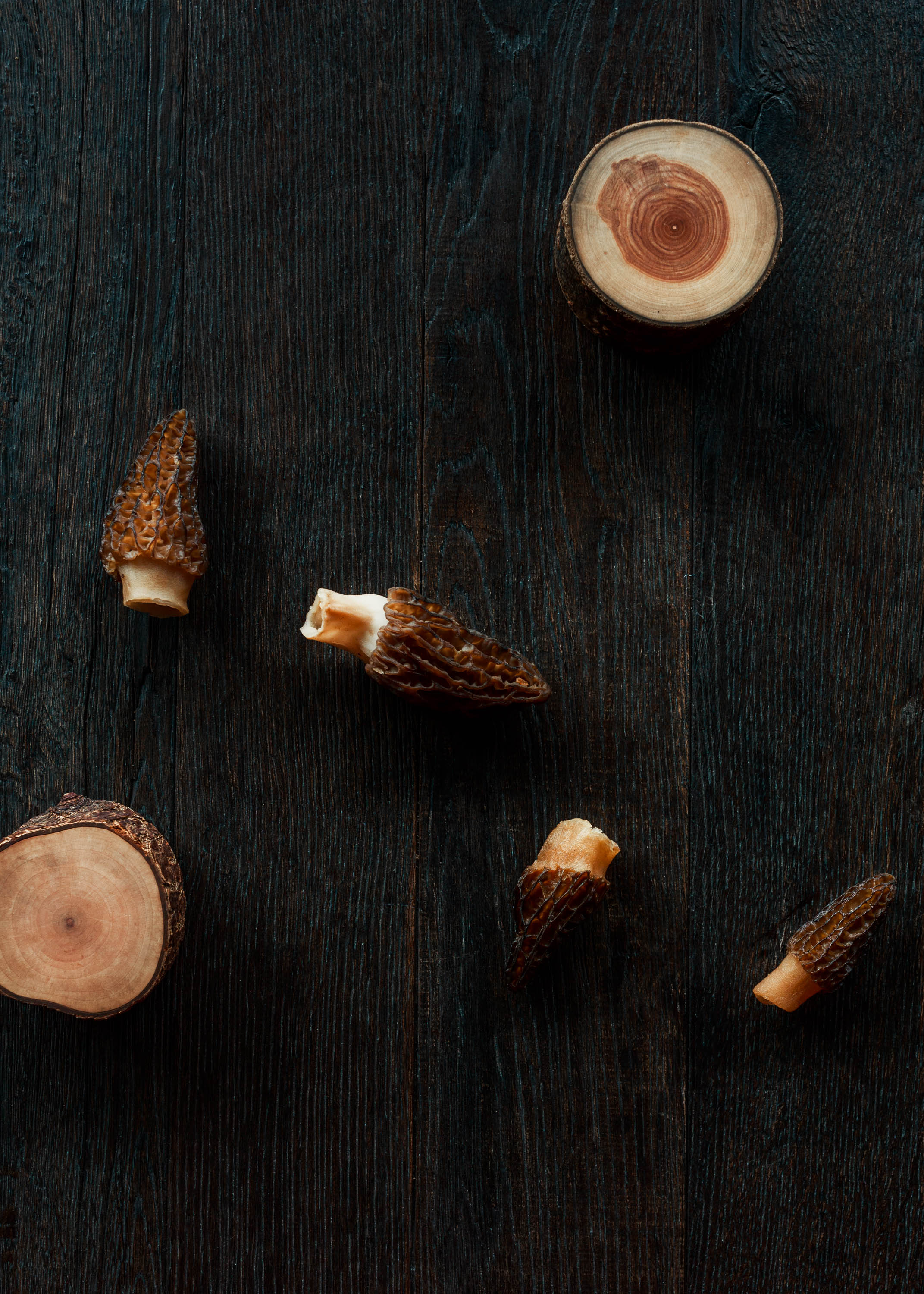 estelle-scott-pickett-melbourne-food-photography-mushroom