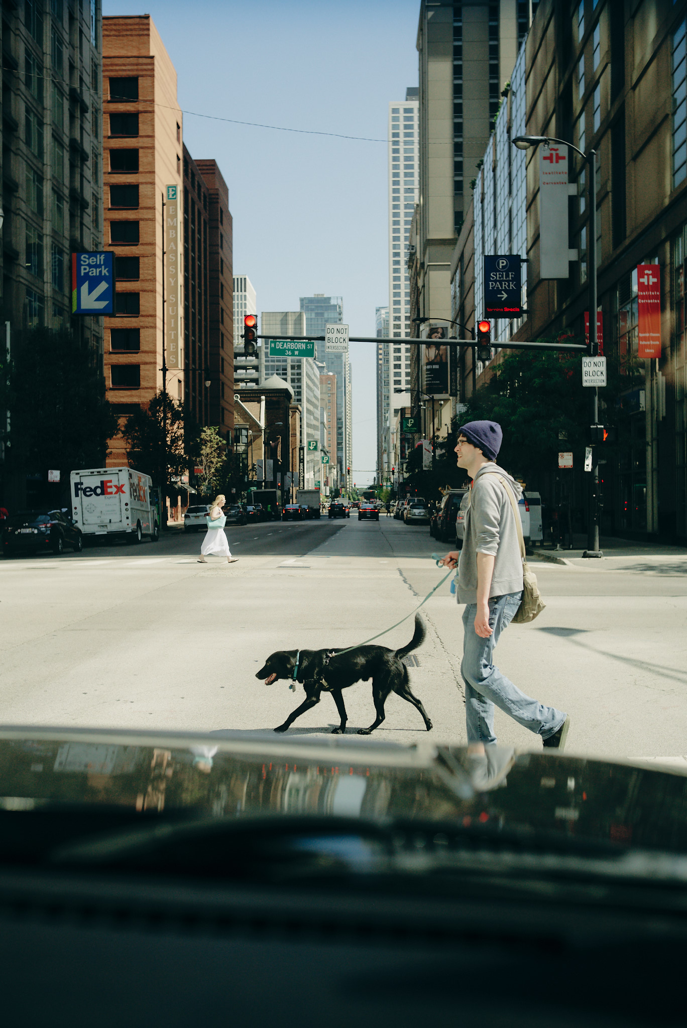 Melbourne-travel-photographer-chicago-city-dog-walker