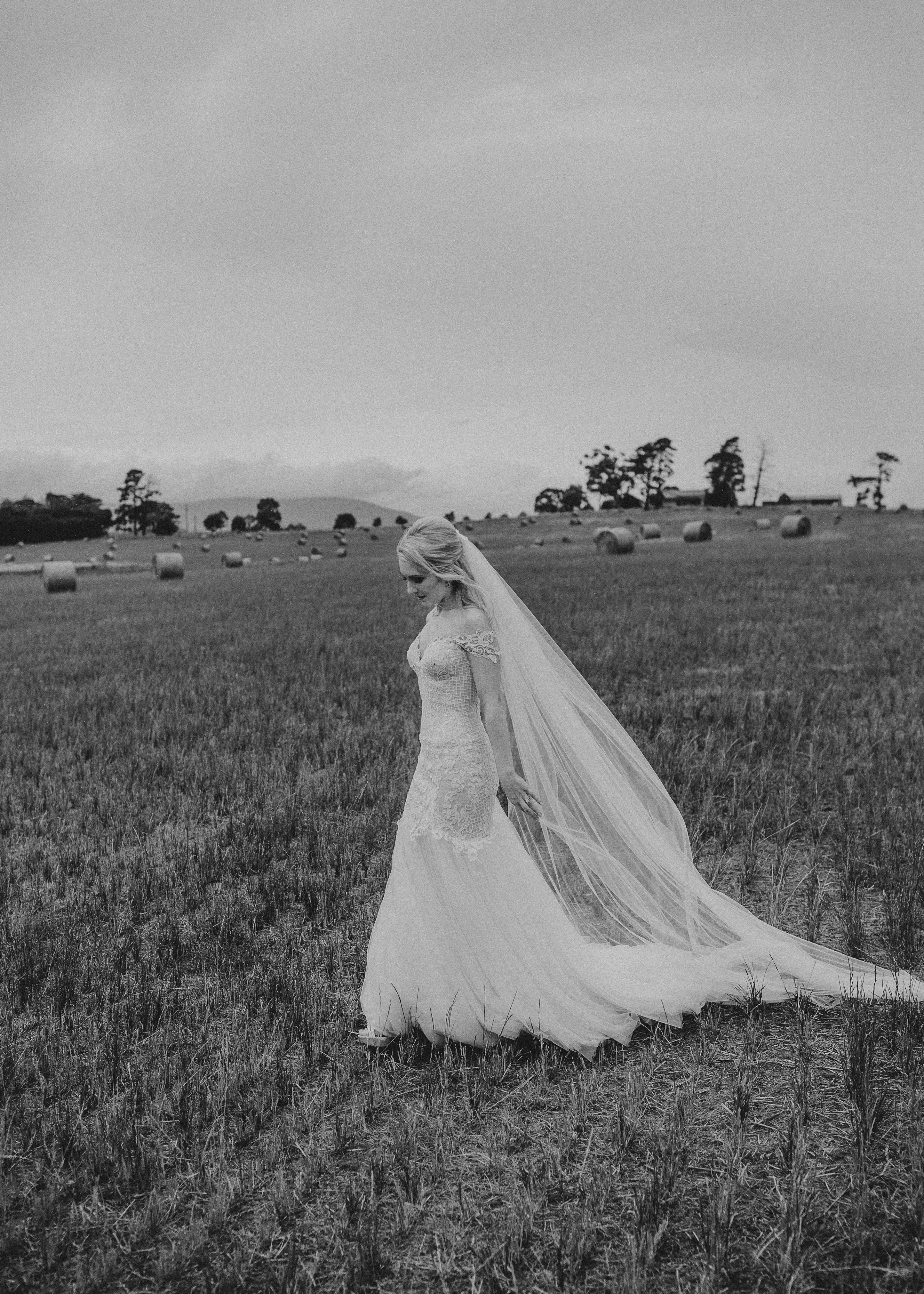 melbourne-yarra-zonzo-wedding-bride-field