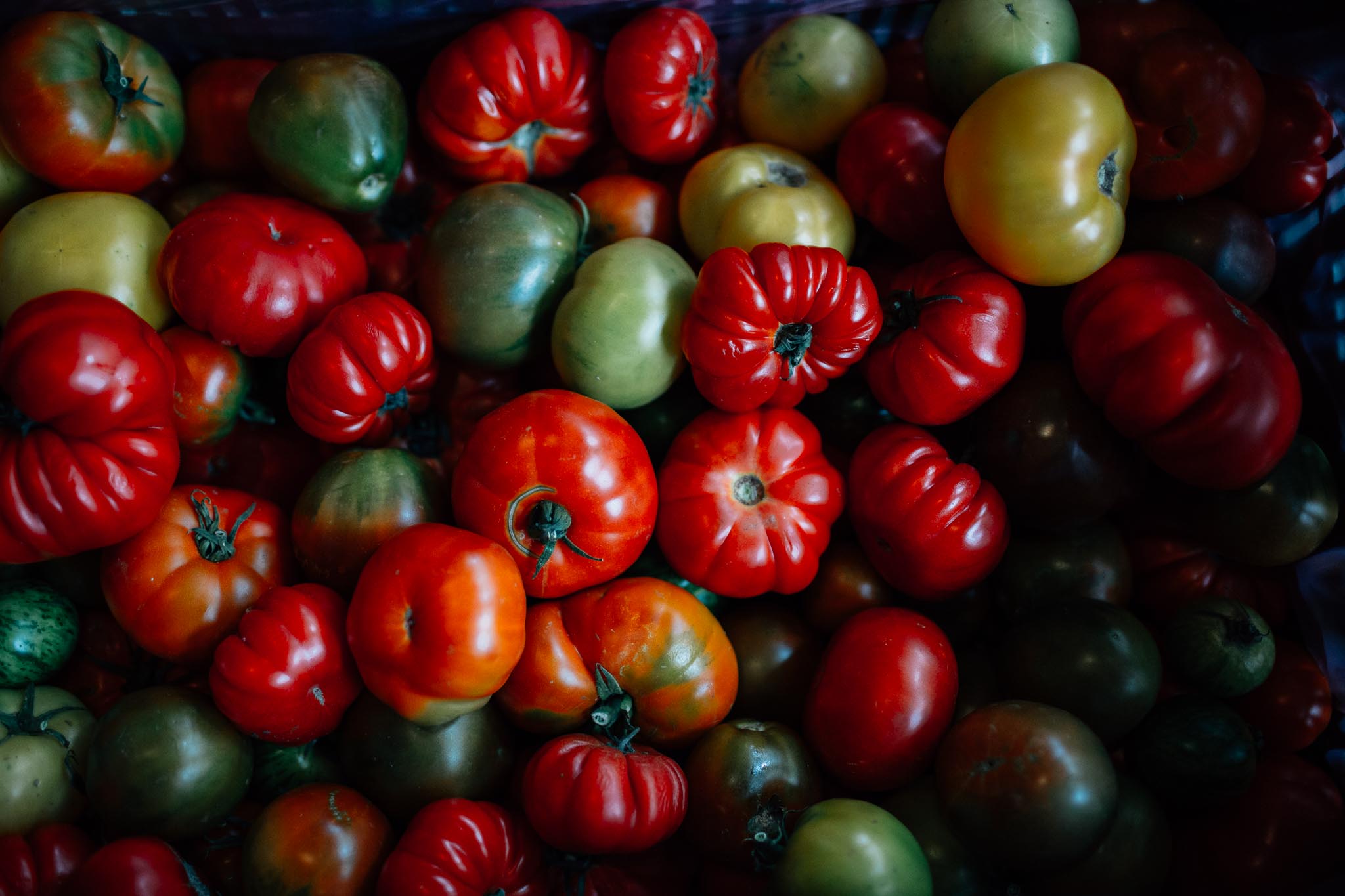 Melbourne-Food-Photographer-Cumulus-Tomato