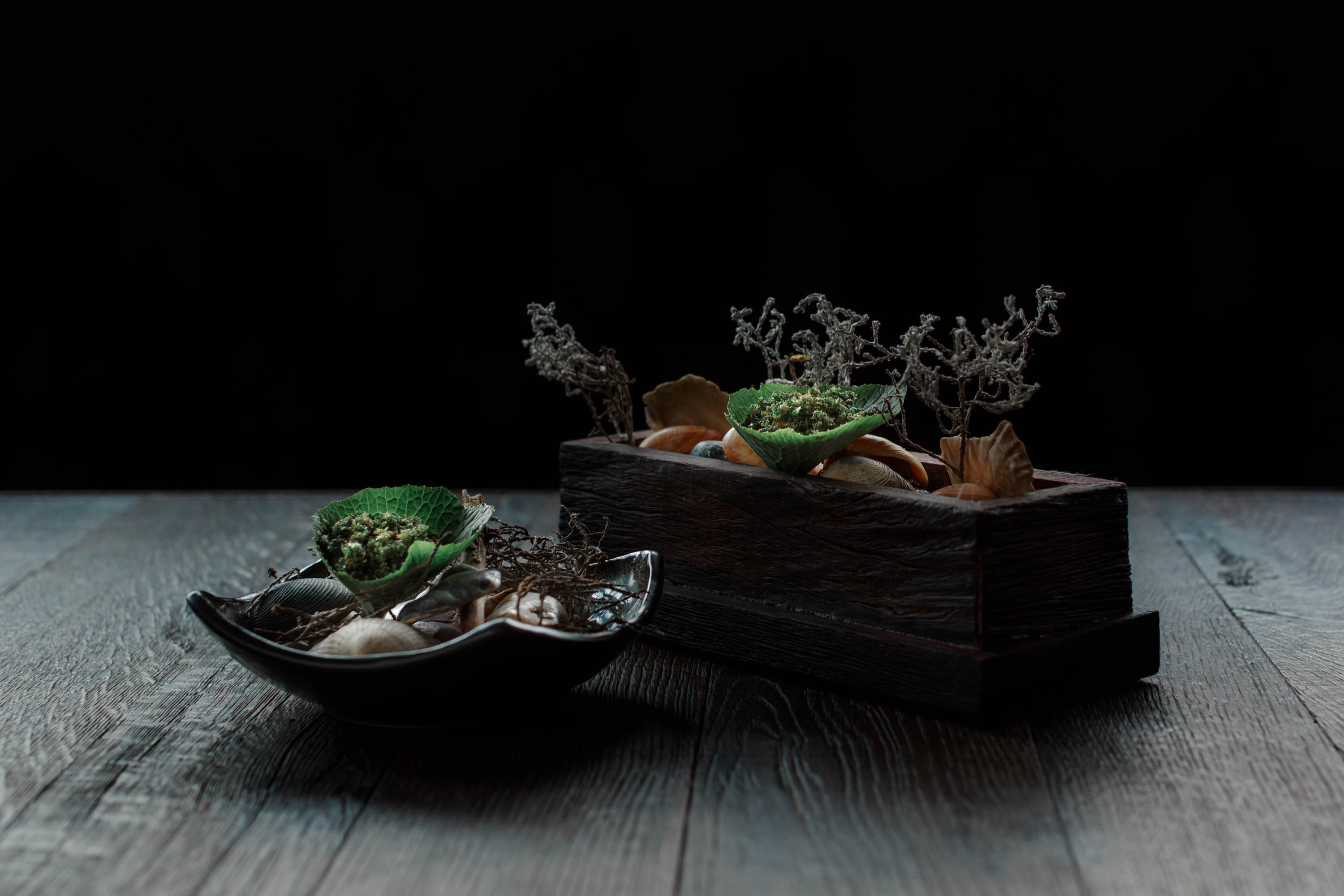 estelle-scott-pickett-melbourne-food-photography-bonsai