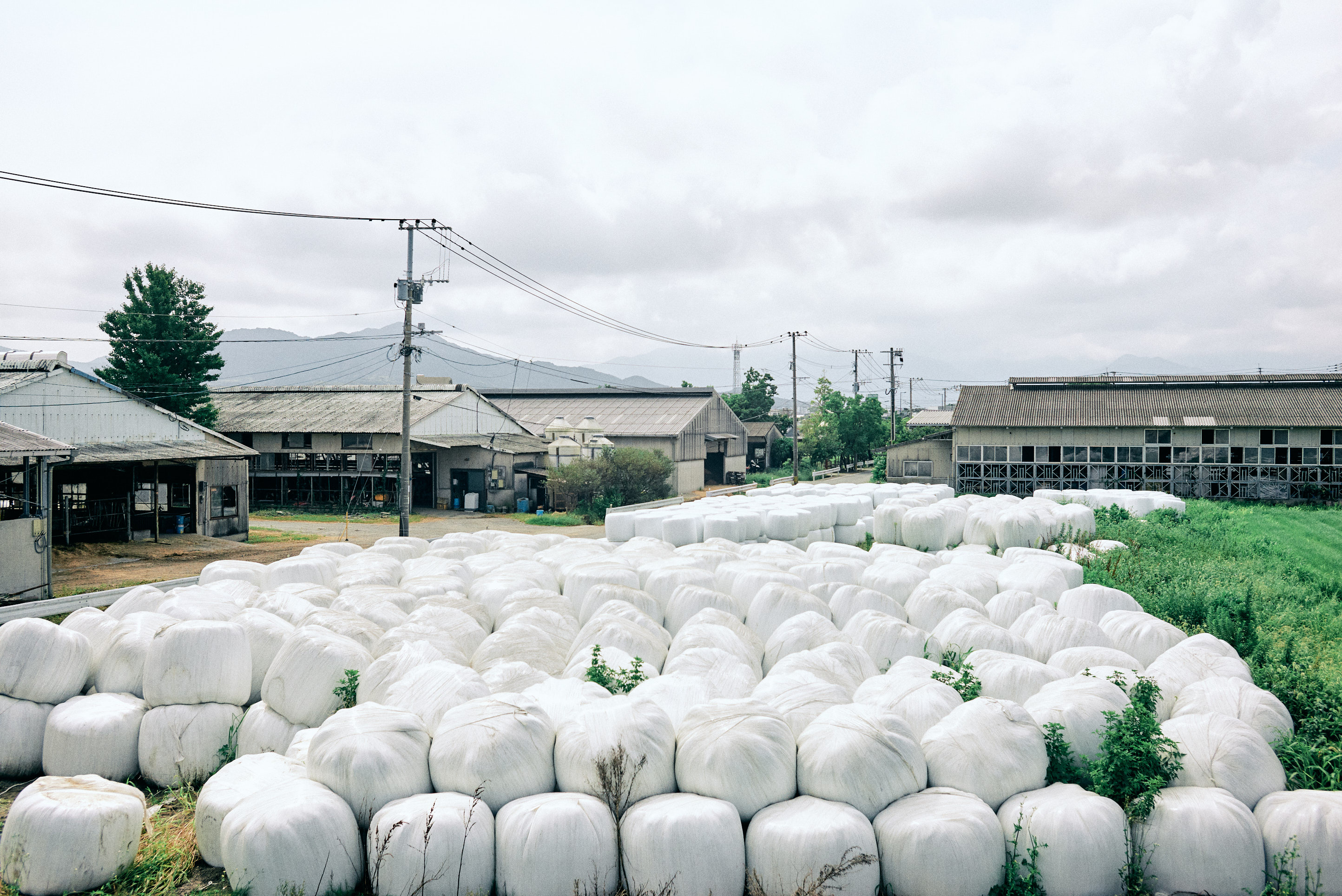 farm factory in west fukuoka itoshima