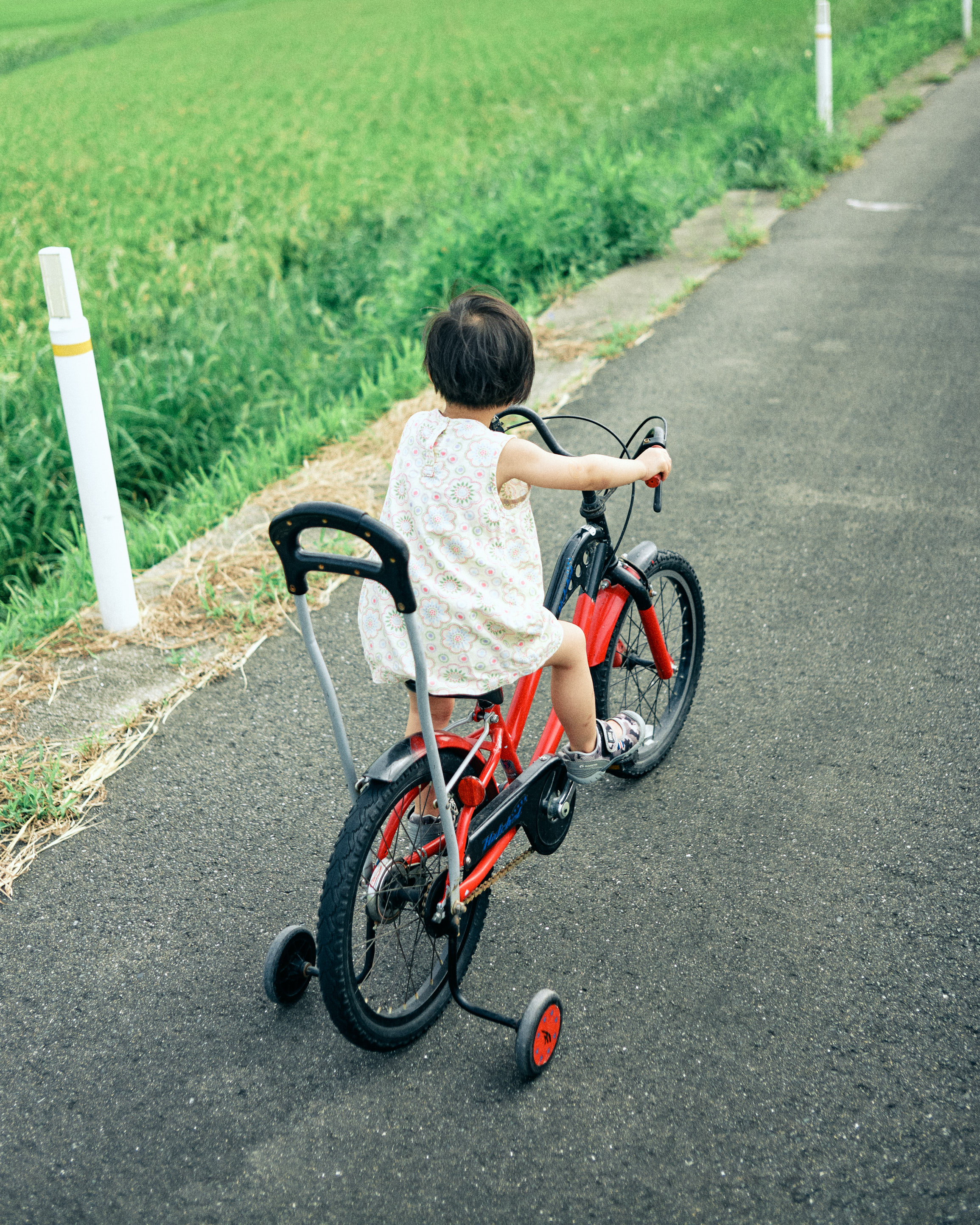 kid cycling in itoshima farm field