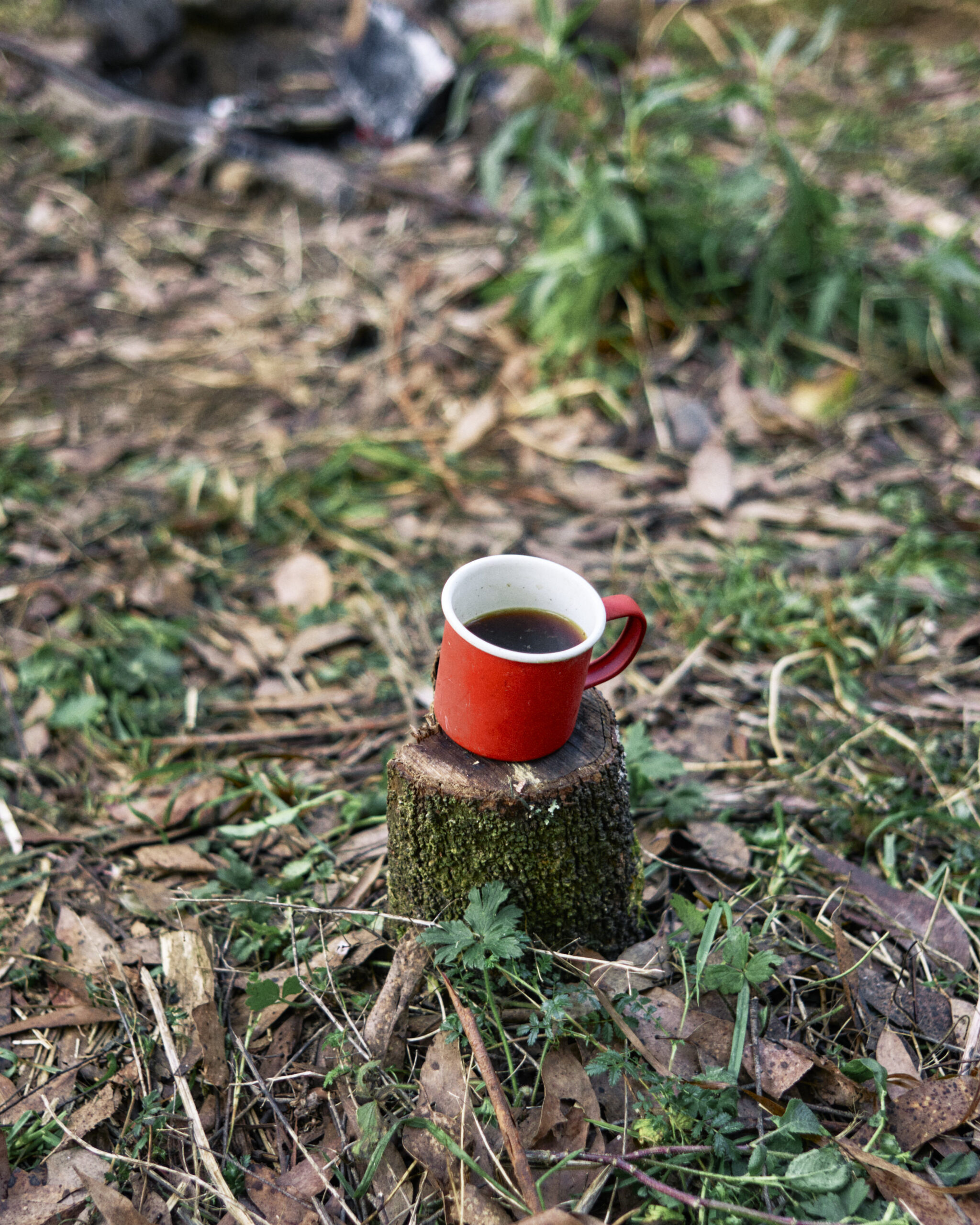 Stevensons Fall camping leica mp240 coffee